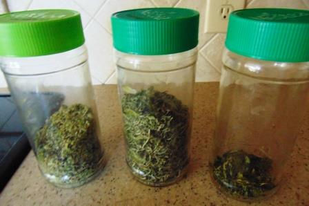 oregano-basil-parsley-jars-compressed