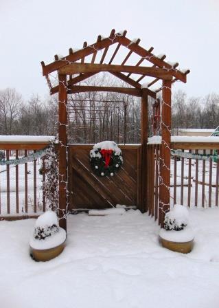 Gate in winter compressed
